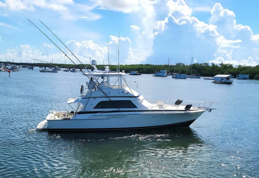 1989 Bertram 50 Convertible